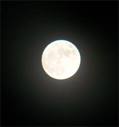 4073692