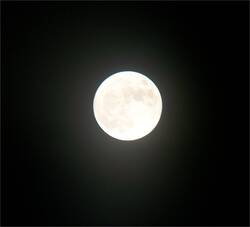4282414