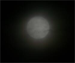 1186223