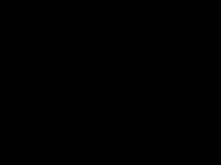 12314176