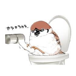 50392